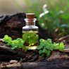 BIO Brahmi - 100% prirodno ajurvedsko biljno ulje (10 ml)