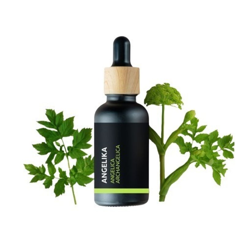 BIO Angelica - Olio essenziale 100% naturale (10ml) - Pěstík