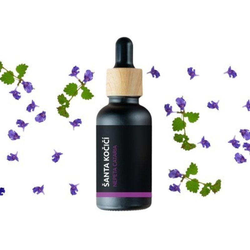 BIO Nébeda - Aceite esencial 100% natural (10ml)