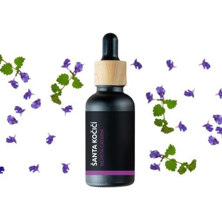 BIO Котешка мента - 100% натурално етерично масло (10ml)