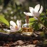 BIO Magnolie - 100% natürliches ätherisches Öl (10ml) - Pěstík