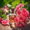 Pelargonium rose BIO - huile essentielle 100% naturelle (10ml)