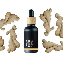 BIO Jengibre de Montaña - Aceite esencial 100% natural (10ml) - Pěstík