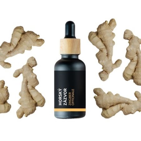 BIO Planinski đumbir - 100% prirodno esencijalno ulje (10ml) - Pěstík