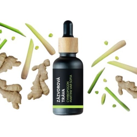 BIO Hierba Jengibre - Aceite esencial 100% natural (10ml) - Pěstík