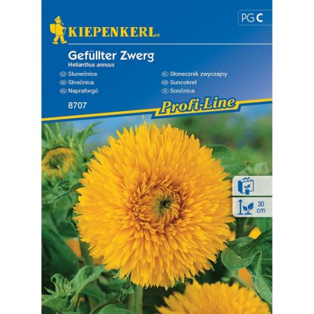 Tournesol - Nain à fleurs doubles (Geffulter Zwerg)