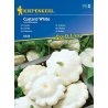 Kiepenkerl Calabacín Custard White