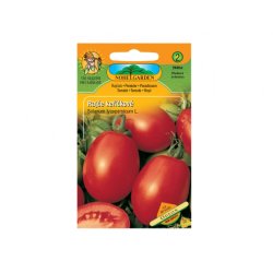 Tomate buisson ODEON ovale
