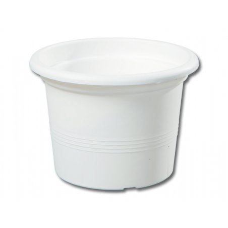 Kvetináč CAMPANULA plastový d20x14 cm