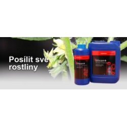 Essential Silicon + 1L