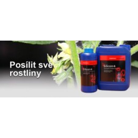 Essential Silicon + 1L