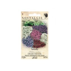 Lobularia maritima, mengsel