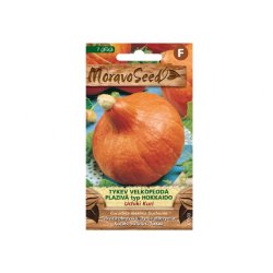 Pompoen grootvruchtig kruipend UCHIKU KURI, type Hokkaido 67303