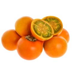 Lilek quitský (solanum candidum) 5 semen
