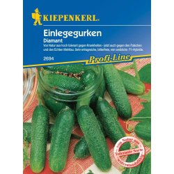 Kiepenkerl Augurk Diamant