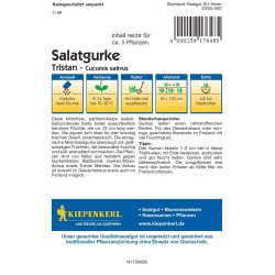 Kiepenkerl Cetriolo da conserva Vorgebirgstrauben