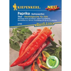 Kiepenkerl Paprika Thor, F1