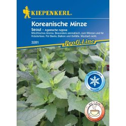Kiepenkerl Minttu Seoul