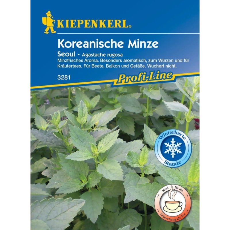 Kiepenkerl Menthe Seoul
