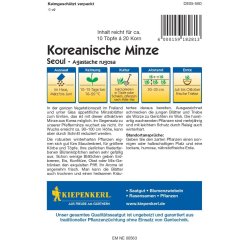 Kiepenkerl Mięta Seoul