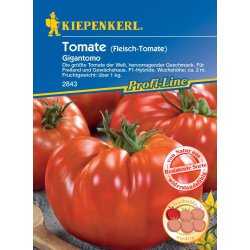 Kiepenkerl Pomodoro Gigantomo
