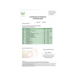 CBD Fullcomplex 30% - CBD/CBG/CBN 10 мл