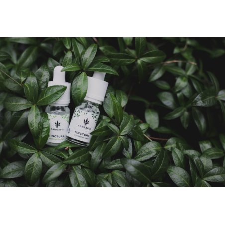 Abonnement CBD en combinaison 5% + 10% + 15%