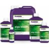Plagron Alga Bloom, 500ml