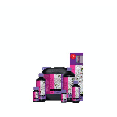 Atami B´cuzz Bloom Stimulator, 1 l