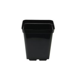 TEKU maceta cuadrada 10x10x11cm - set de 100 uds., 0,70L