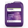 Plagron Power Roots, 5 л