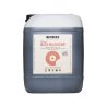 BioBizz Bio-Bloom, 10 l