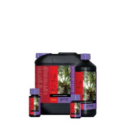 Atami B´cuzz Booster Coco, 5 l