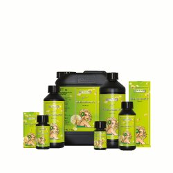 Atami ATA NRG Bi-Bloombastic, 1 l