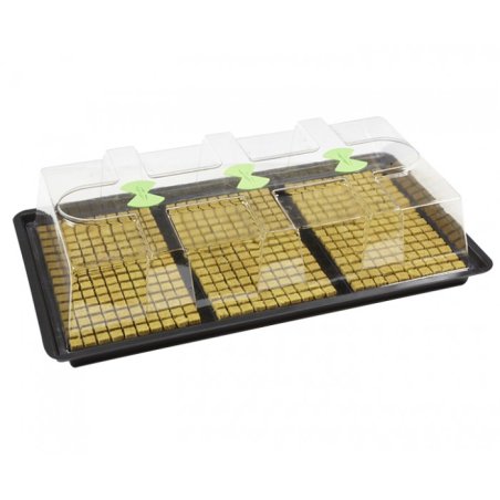 X-Stream Heat L Heated Propagator Without Thermostat