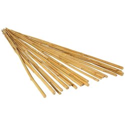 Tutor de bambú 90cm, envase de 25uds