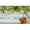 GRODAN Classic NG2,0, pestovateľská rohož 1000x150x75mm, balená, vrece 12ks