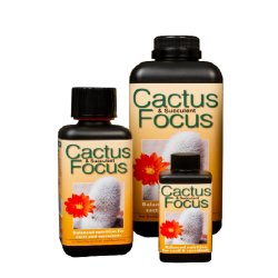 Cactus Focus 1000ml