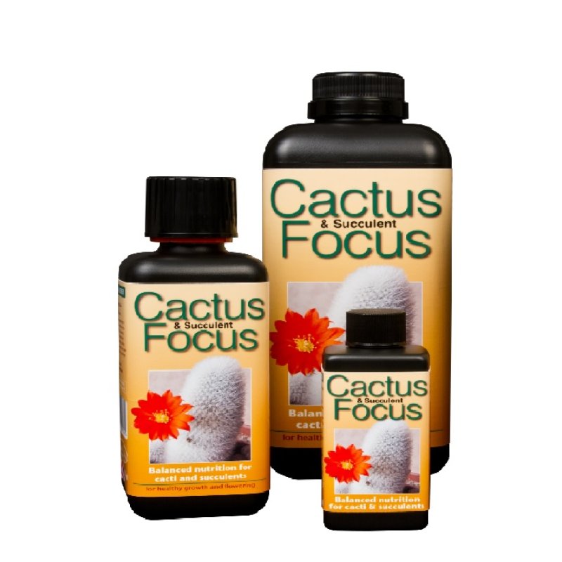 Cactus Focus 1000 мл