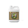 Advanced Nutrients Big Bud Coco Liquid 5 л