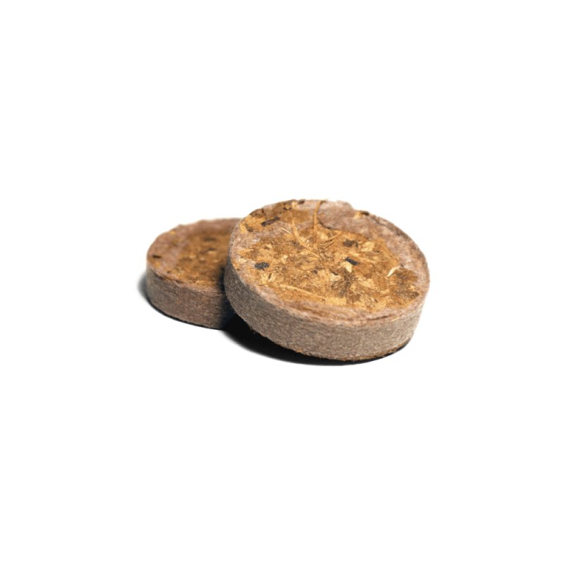 Kweektablet UGro Rhiza 38mm, verpakking 100 st.