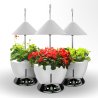 Домашна LED система Red/White UrbanGreen I-Grow G601-C, 40W