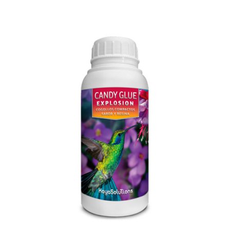 Candy Glue Explosion - Stoffwechselstimulator, 250 ml