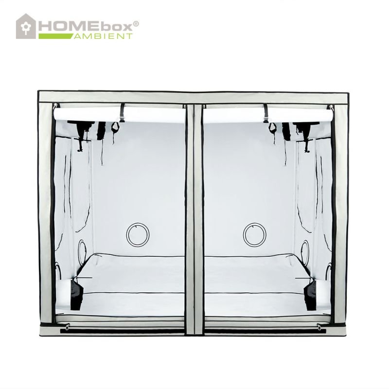 Homebox Ambient Q240+, 240x240x220 см
