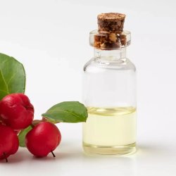 BIO Wintergrün (Gaultheria) - 100% natürliches ätherisches Öl (10 ml)