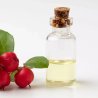 BIO Wintergroen (Gaultheria) - 100% natuurlijke essentiële olie (10 ml)