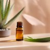 BIO Aloe vera - olio infuso 100% naturale (10 ml)
