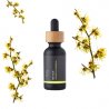 BIO Zaubernuss - 100% natürliches infundiertes Öl (10 ml)