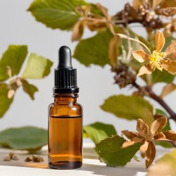 BIO Zaubernuss - 100% natürliches infundiertes Öl (10 ml)