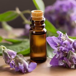 BIO Beinwell - 100% natürliches infundiertes Öl (10 ml)